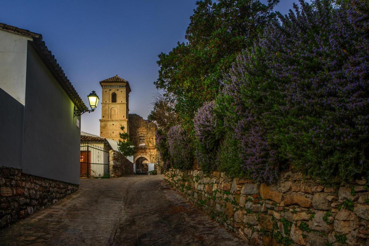 Casa De Los Cuadros Villaluenga Del Rosario Eksteriør bilde